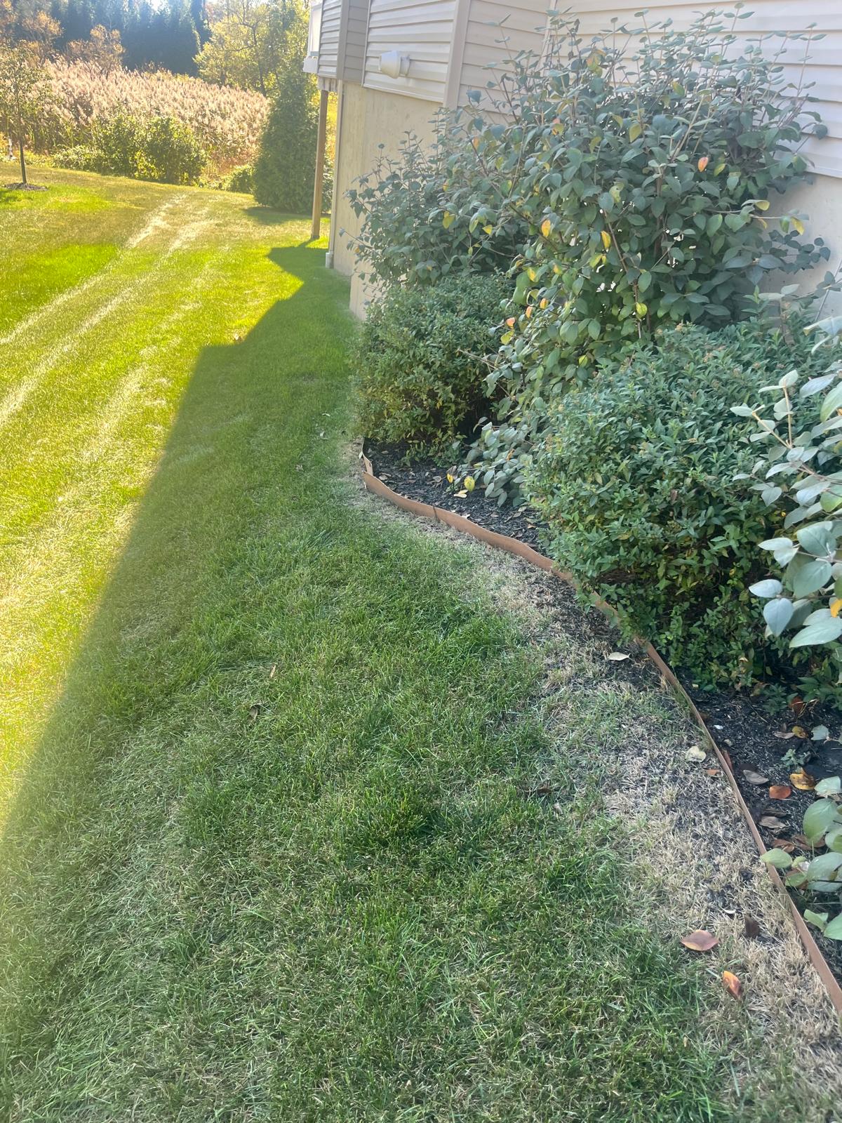 Landscaping Project 1
