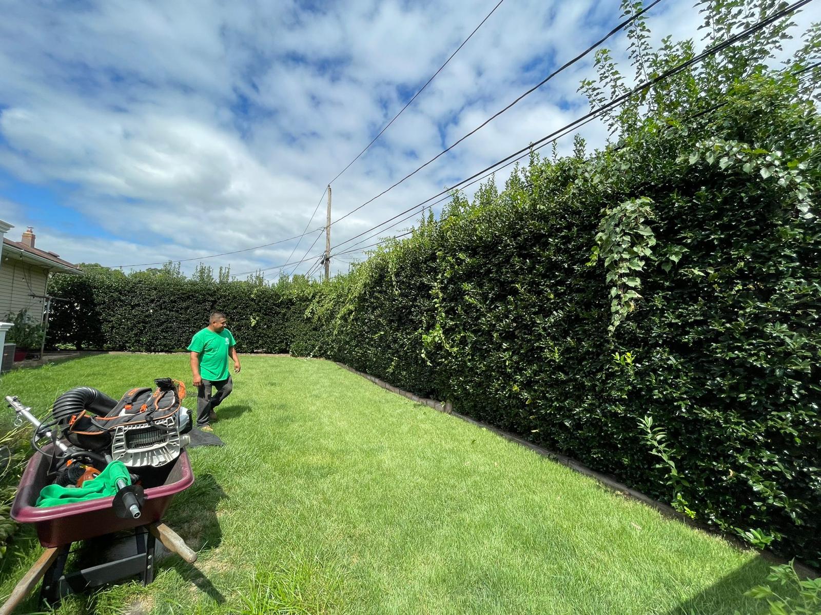 Landscaping Project 5
